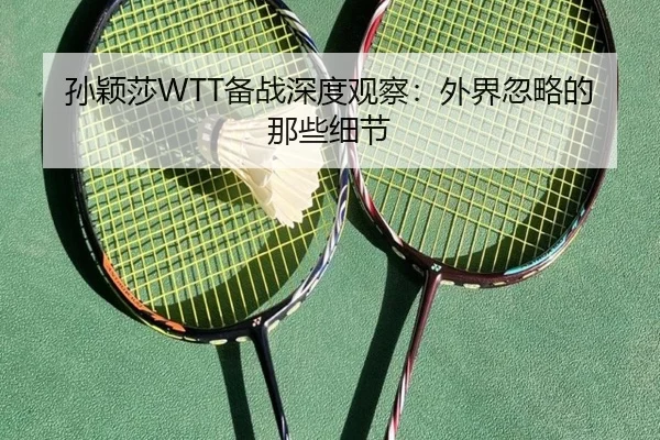 sun-ying-sha-bei-zhan-shen-du-guan-cha-wai-jie-hu-lve-de-na-xie-xi-jie-2-317.jpg